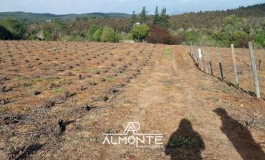 SE VENDE PARCELA  SECTOR RAHUIL, COMUNA FLORIDA