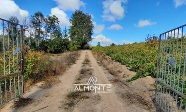 SE VENDE PARCELA  SECTOR RAHUIL, COMUNA FLORIDA