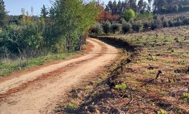 SE VENDE PARCELA  SECTOR RAHUIL, COMUNA FLORIDA