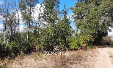 SE VENDE PARCELA  SECTOR RAHUIL, COMUNA FLORIDA