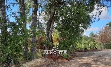 SE VENDE PARCELA  SECTOR RAHUIL, COMUNA FLORIDA