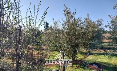 SE VENDE PARCELA  SECTOR RAHUIL, COMUNA FLORIDA