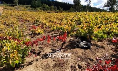 SE VENDE PARCELA  SECTOR RAHUIL, COMUNA FLORIDA