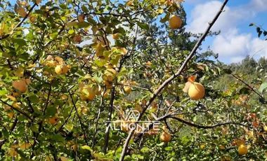 SE VENDE PARCELA  SECTOR RAHUIL, COMUNA FLORIDA