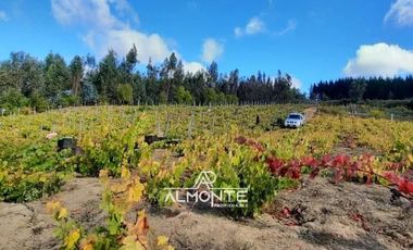 SE VENDE PARCELA  SECTOR RAHUIL, COMUNA FLORIDA