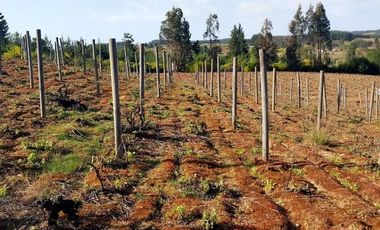 SE VENDE PARCELA  SECTOR RAHUIL, COMUNA FLORIDA