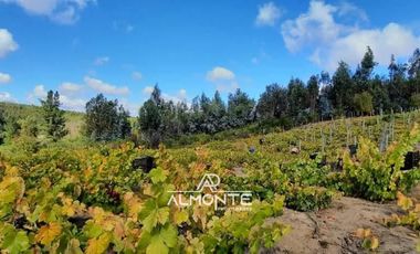 SE VENDE PARCELA  SECTOR RAHUIL, COMUNA FLORIDA