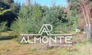 VENTA DE PARCELA SECTOR LIBUY COMUNA BULNES QUILLÓN