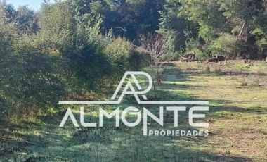 VENTA DE PARCELA SECTOR LIBUY COMUNA BULNES QUILLÓN