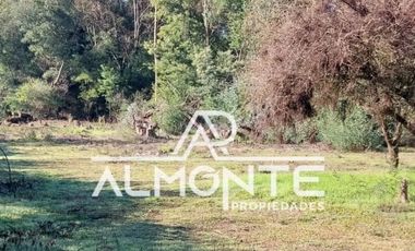 VENTA DE PARCELA SECTOR LIBUY COMUNA BULNES QUILLÓN