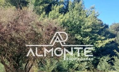 VENTA DE PARCELA SECTOR LIBUY COMUNA BULNES QUILLÓN