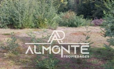 VENTA DE PARCELA SECTOR LIBUY COMUNA BULNES QUILLÓN