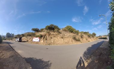 VENTA PARCELA 9980MTS Talagante
