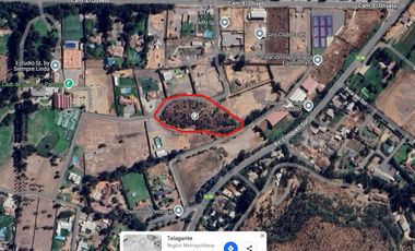 VENTA PARCELA 9980MTS Talagante