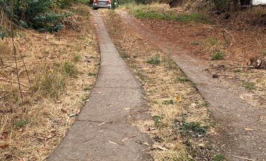 20,20 HAS 35 PARCELAS, CASA Y CABAÑA BODEGA