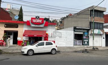 Locales comerciales Toluca Centro