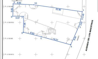 Locales comerciales Toluca Centro