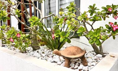 Casa Tortuga Cuyutlan