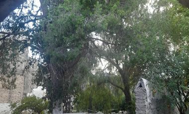 CASA EN RENTA EN EL CENTRO DE PARRAS, COAHUILA
