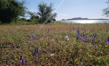 Parcela en Venta en Puente Machicura