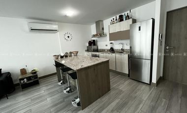 PENTHOUSE EN RENTA O VENTA  EN SANTO NIÑO.