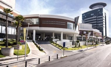 OFICINAS EN RENTA EN TRIANGULO  LAS ANIMAS