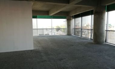 OFICINAS EN RENTA EN TRIANGULO  LAS ANIMAS