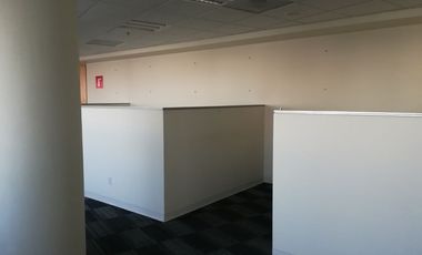 OFICINAS EN RENTA EN TRIANGULO  LAS ANIMAS