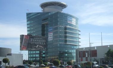 OFICINAS EN RENTA EN TRIANGULO  LAS ANIMAS