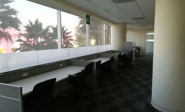 OFICINAS EN RENTA EN TRIANGULO  LAS ANIMAS