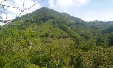 FINCA EN VENTA EN FILADELFIA/ CALDAS