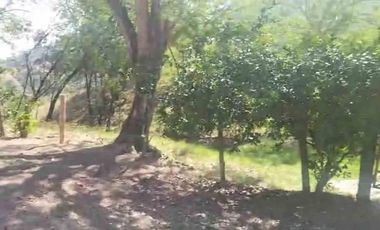 FINCA EN VENTA EN FILADELFIA/ CALDAS