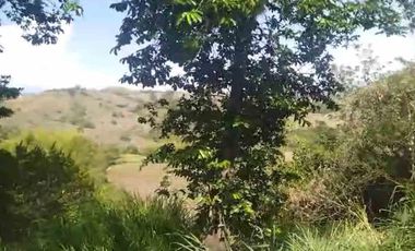 FINCA EN VENTA EN FILADELFIA/ CALDAS