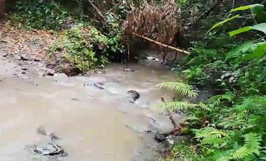 FINCA EN VENTA EN FILADELFIA/ CALDAS