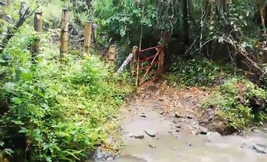 FINCA EN VENTA EN FILADELFIA/ CALDAS