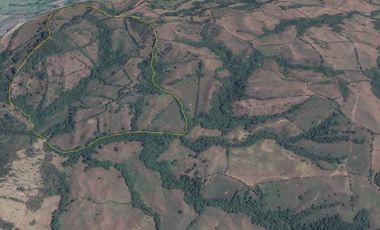 FINCA EN VENTA EN FILADELFIA/ CALDAS
