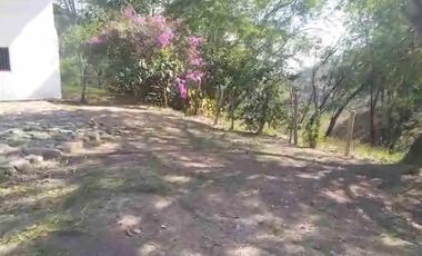 FINCA EN VENTA EN FILADELFIA/ CALDAS