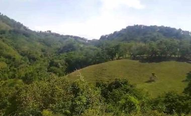 FINCA EN VENTA EN FILADELFIA/ CALDAS