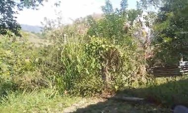 FINCA EN VENTA EN FILADELFIA/ CALDAS