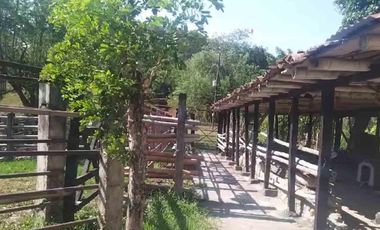 FINCA EN VENTA EN FILADELFIA/ CALDAS