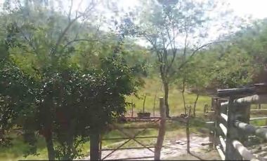 FINCA EN VENTA EN FILADELFIA/ CALDAS