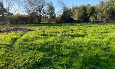 Hermosa Parcela a 15 km de Linares