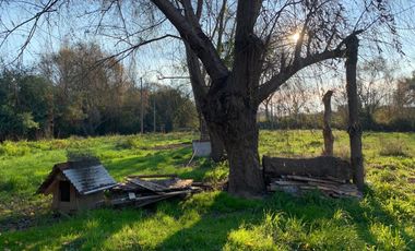 Hermosa Parcela a 15 km de Linares