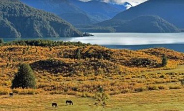 OPORTUNIDAD EN PATAGONIA: 6 HECTÁREAS EN VENTA