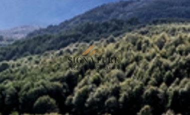 OPORTUNIDAD EN PATAGONIA: 6 HECTÁREAS EN VENTA
