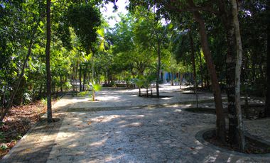 Locales comerciales en ESQUINA nuevos en obra gris, Aldea Zama