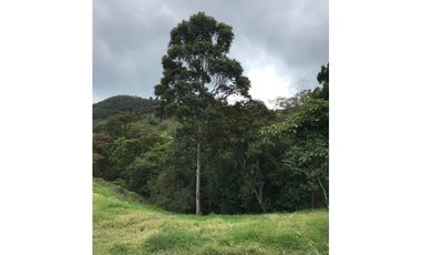 VENTA DE LOTE – KM 18 VA A DAPA