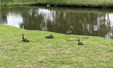 CASA EN VENTA EN EL CARMEN DE VIBORAL ANTIOQUIA