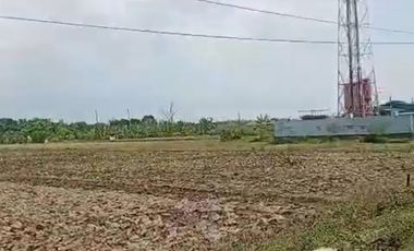Tanah kawasan industri Pantura tegal