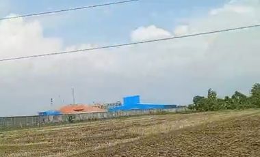 Tanah kawasan industri Pantura tegal